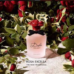 DOLCE ROSE EXCELSA LA NUEVA FRAGANCIA DE DOLCE GABBANA
