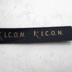 ICON  India Hair Yurvedics. ARGAN en Tu PeLO