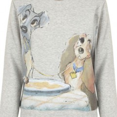 LA CAMISETA DE LA DAMA Y EL VAGABUNDO