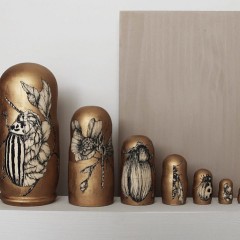 RAUL DEL SOL INSECTOS Y ARTE